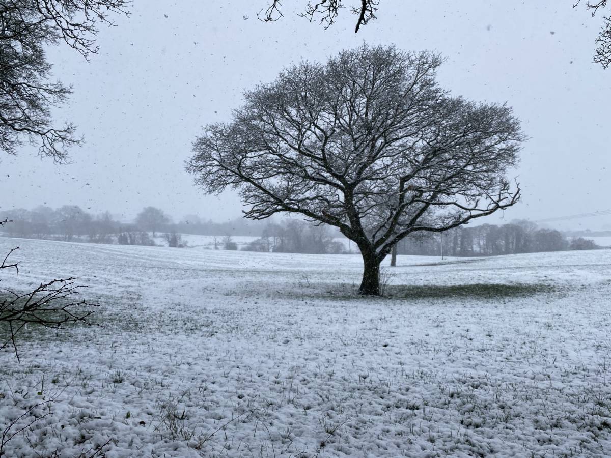 Distant Reiki for winter blues and the shadow side of&nbsp;Christmas