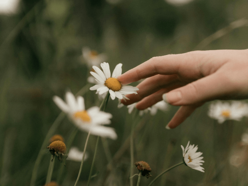 Reiki Vs. Therapeutic&nbsp;Touch